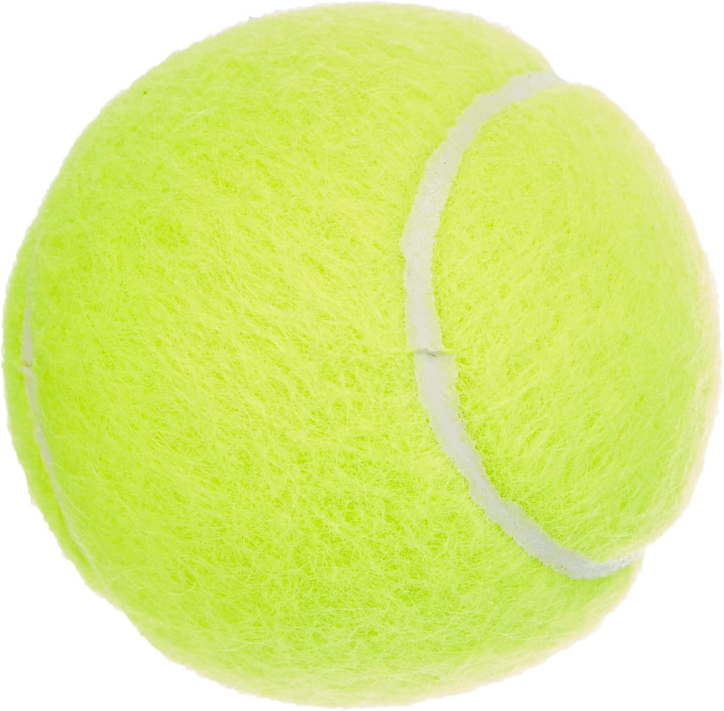 Dunlop Fort Long Tennis Ball All Court TS-Tennis Balls