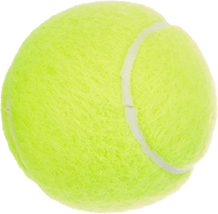 Dunlop Fort Long Tennis Ball All Court TS-Tennis Balls