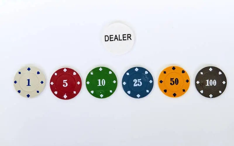 Professional Poker Chip Set 120PCS – Casino Style Chips with Cards & Dealer Button